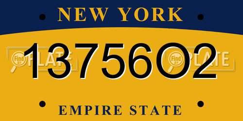 13756O2 New York License Plate