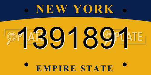1391891 New York License Plate