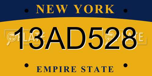 13AD528 New York License Plate