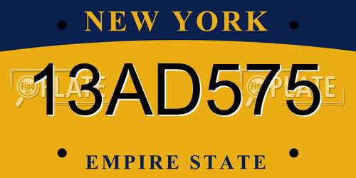 13AD575 New York License Plate
