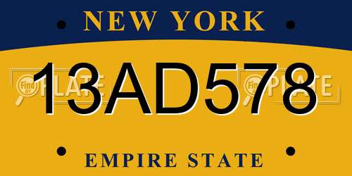 13AD578 New York License Plate