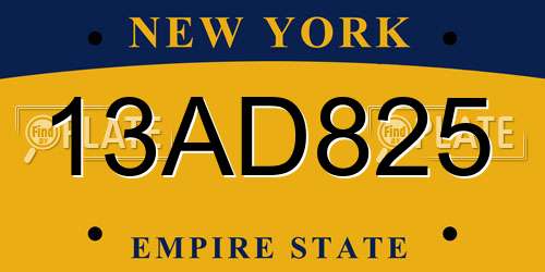 13AD825 New York License Plate