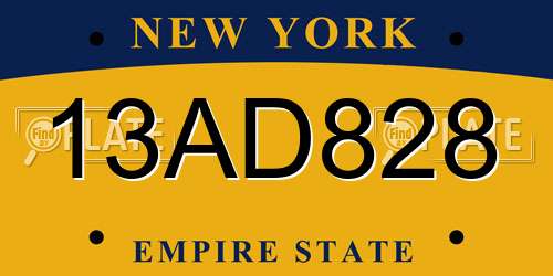 13AD828 New York License Plate