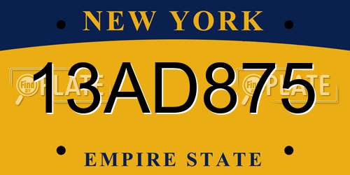 13AD875 New York License Plate