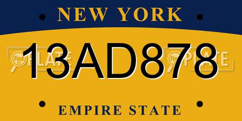 13AD878 New York License Plate