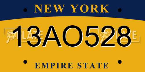 13AO528 New York License Plate