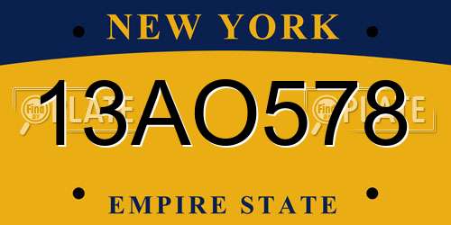 13AO578 New York License Plate