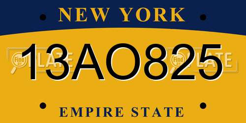 13AO825 New York License Plate