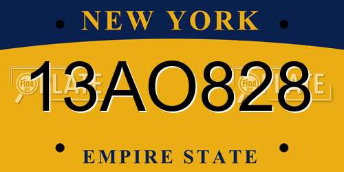 13AO828 New York License Plate