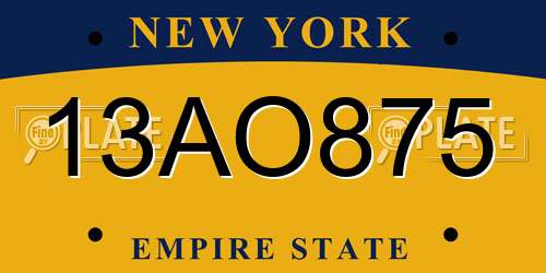 13AO875 New York License Plate