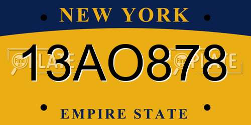 13AO878 New York License Plate