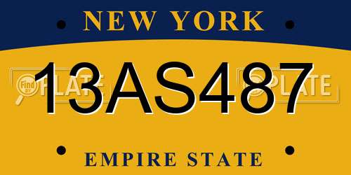 13AS487 New York License Plate