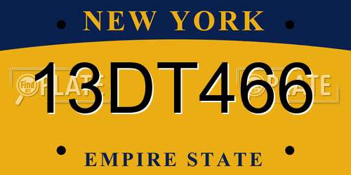 13DT466 New York License Plate