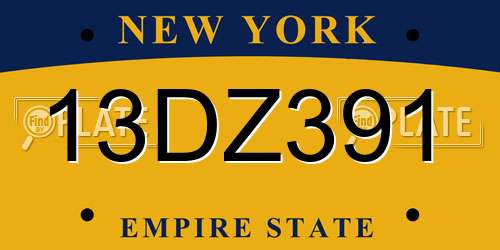13DZ391 New York License Plate