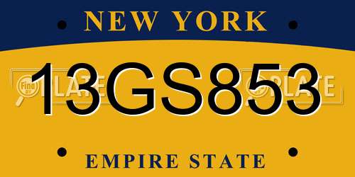 13GS853 New York License Plate