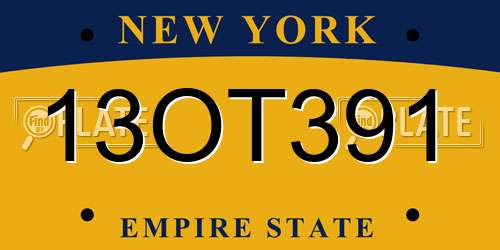 13OT391 New York License Plate