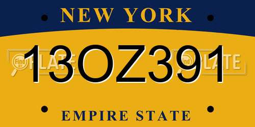 13OZ391 New York License Plate