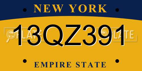 13QZ391 New York License Plate