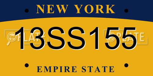 13SS155 New York License Plate