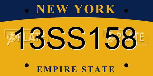 13SS158 New York License Plate