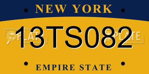 13TS082 New York License Plate