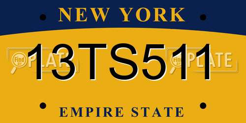 13TS511 New York License Plate