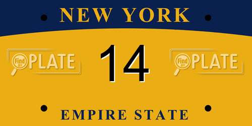 14 New York License Plate