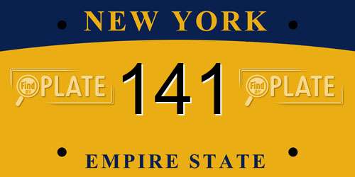 141 New York License Plate