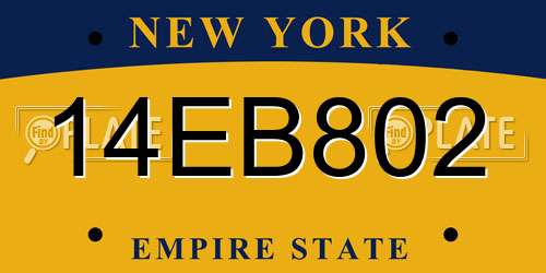 14EB802 New York License Plate