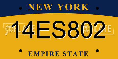14ES802 New York License Plate