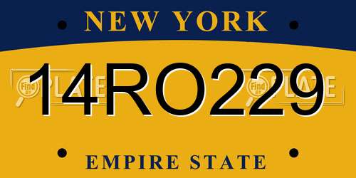 14RO229 New York License Plate