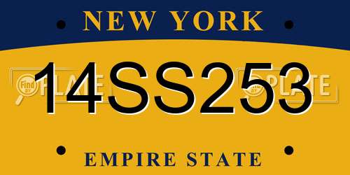 14SS253 New York License Plate