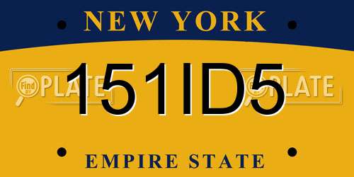 151ID5 New York License Plate