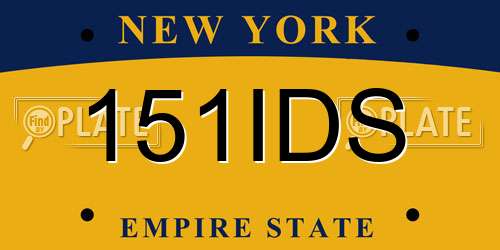 151IDS New York License Plate