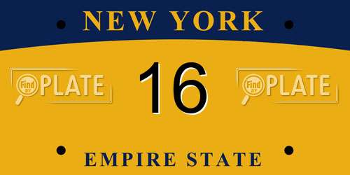 16 New York License Plate