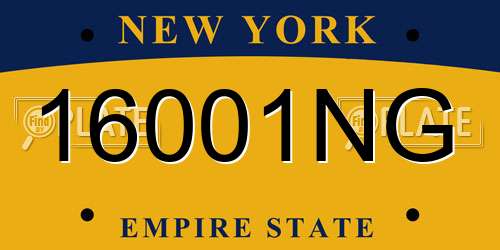 16001NG New York License Plate