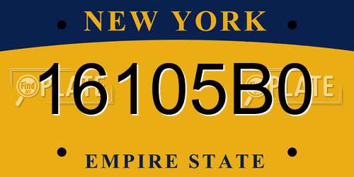 16105B0 New York License Plate