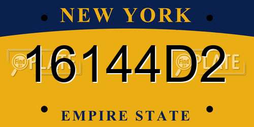 16144D2 New York License Plate