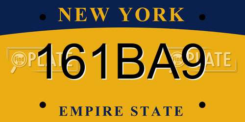 161BA9 New York License Plate