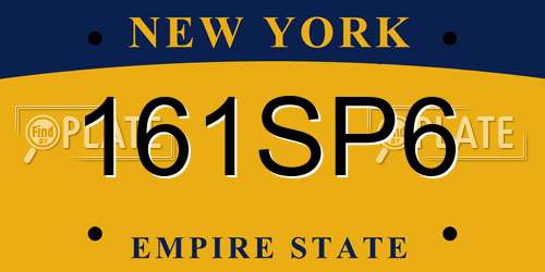 161SP6 New York License Plate