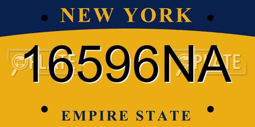 16596NA New York License Plate