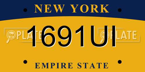 1691UI New York License Plate