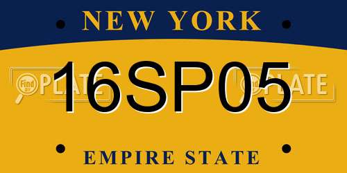 16SP05 New York License Plate
