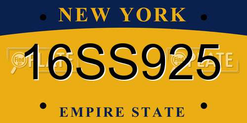 16SS925 New York License Plate