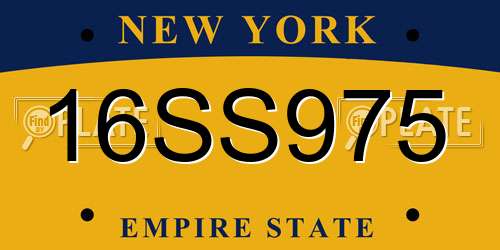 16SS975 New York License Plate