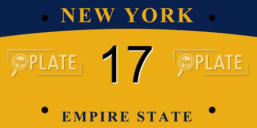 17 New York License Plate