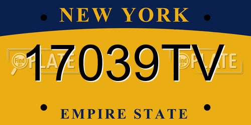 17039TV New York License Plate