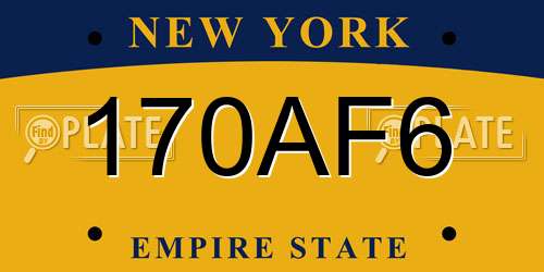 170AF6 New York License Plate