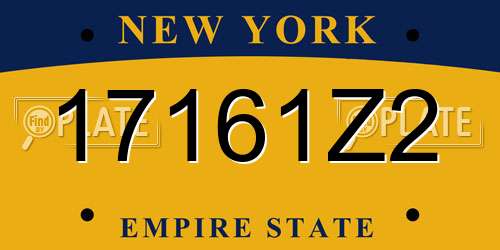 17161Z2 New York License Plate