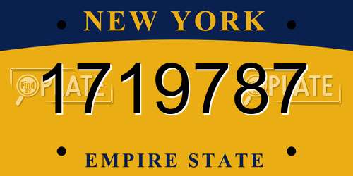 1719787 New York License Plate